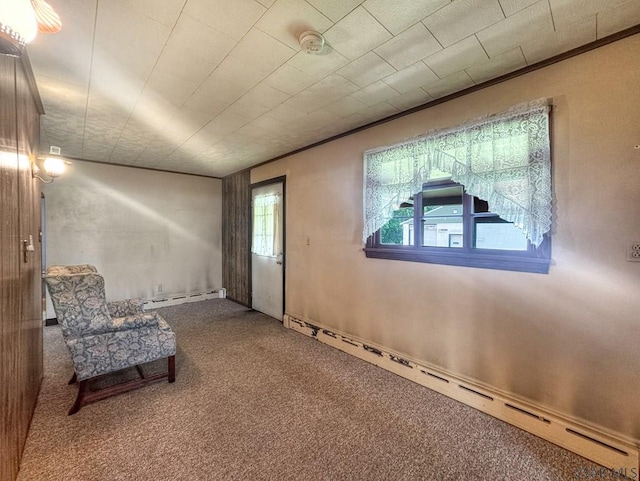 751 Pike Rd, Johnstown, PA 15909 - unfurnished room featuring a baseboard radiator, carpet flooring, and ornamental molding