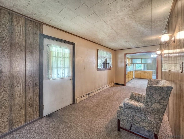751 Pike Rd, Johnstown, PA 15909 - living area featuring carpet floors and a baseboard heating unit