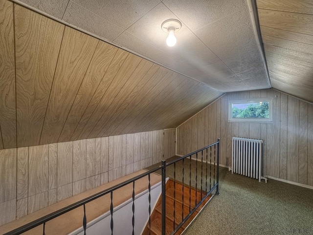 751 Pike Rd, Johnstown, PA 15909 - additional living space featuring radiator, wood walls, vaulted ceiling, and carpet flooring