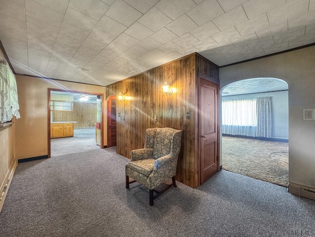 751 Pike Rd, Johnstown, PA 15909 - sitting room with carpet floors, wood walls, arched walkways, and ornamental molding