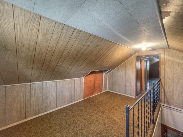 751 Pike Rd, Johnstown, PA 15909 - additional living space featuring wood walls, lofted ceiling, and carpet flooring