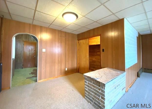 interior space featuring carpet and wood walls