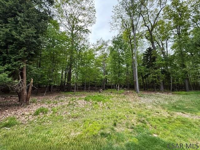 2200 Dundee Ln, Johnstown, PA 15905 - view of local wilderness