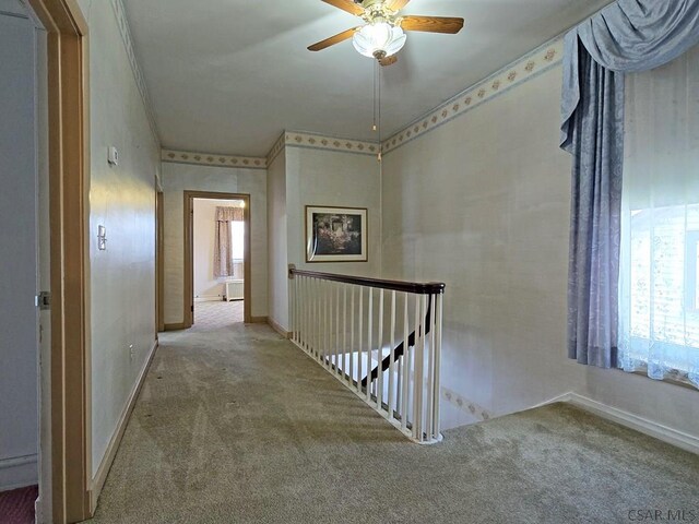 17 Grant St, Salisbury, PA 15558 - corridor featuring carpet flooring, an upstairs landing, plenty of natural light, and ornamental molding