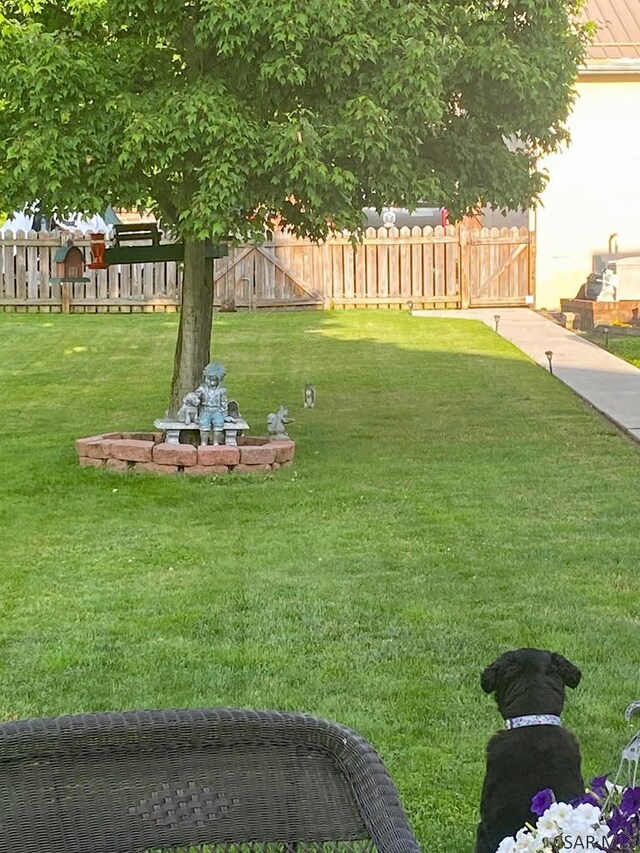 17 Grant St, Salisbury, PA 15558 - view of yard