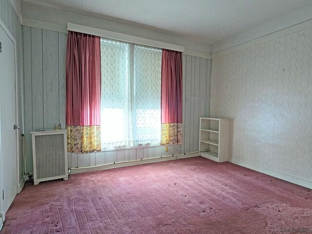 17 Grant St, Salisbury, PA 15558 - spare room featuring radiator and carpet flooring