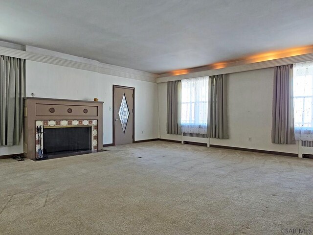 17 Grant St, Salisbury, PA 15558 - unfurnished living room with carpet floors and baseboards