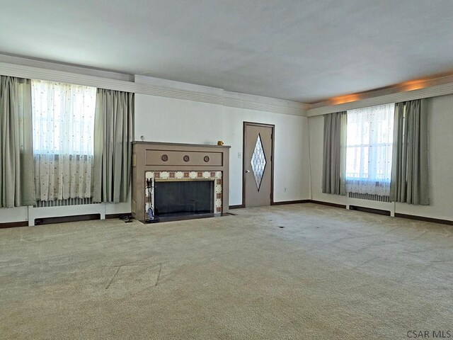 17 Grant St, Salisbury, PA 15558 - unfurnished living room featuring carpet flooring and a fireplace with flush hearth