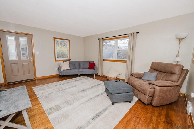 living room with baseboards and wood finished floors