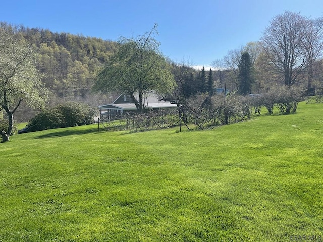 view of yard with a forest view