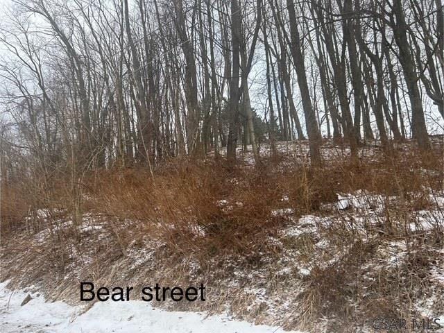Bear St Lot, Lot, Johnstown, PA 15906 - photo 4