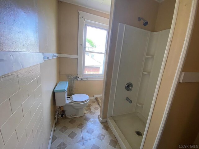 856-858 Ferndale Ave, Johnstown, PA 15905 - bathroom featuring toilet and walk in shower