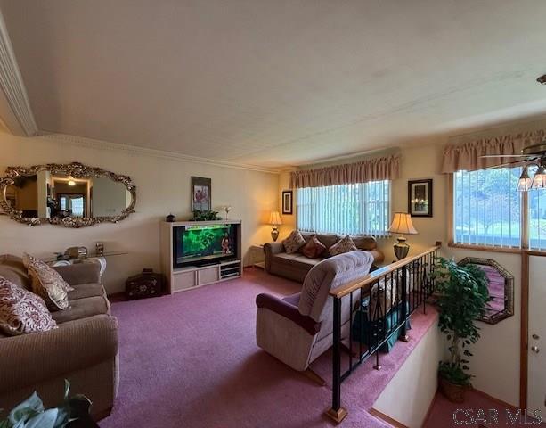 202 Kenneth Ave, Johnstown, PA 15904 - photo 8