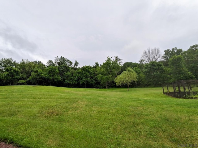 350 American Legion Rd, Latrobe, PA 15650 - view of grassy yard featuring a wooded view
