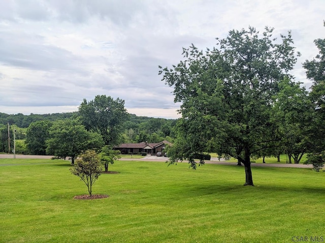 350 American Legion Rd, Latrobe, PA 15650 - view of property's community featuring a lawn