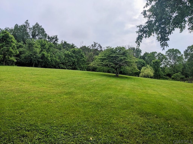 350 American Legion Rd, Latrobe, PA 15650 - view of grassy yard with a forest view