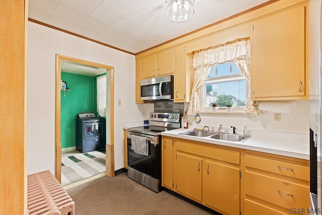 540 S Center Ave, Somerset, PA 15501 - kitchen featuring stainless steel appliances, washer / dryer, a sink, crown molding, and light countertops