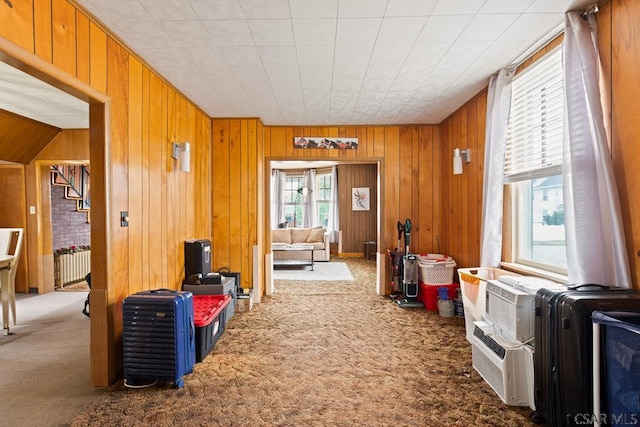 540 S Center Ave, Somerset, PA 15501 - corridor with carpet flooring and wooden walls