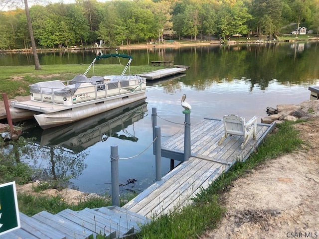 1040 Causeway Dr, Friedens, PA 15541 - dock area with a water view and a view of trees