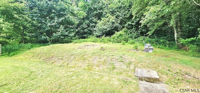 323 Wilson St, Johnstown, PA 15906 - photo 5