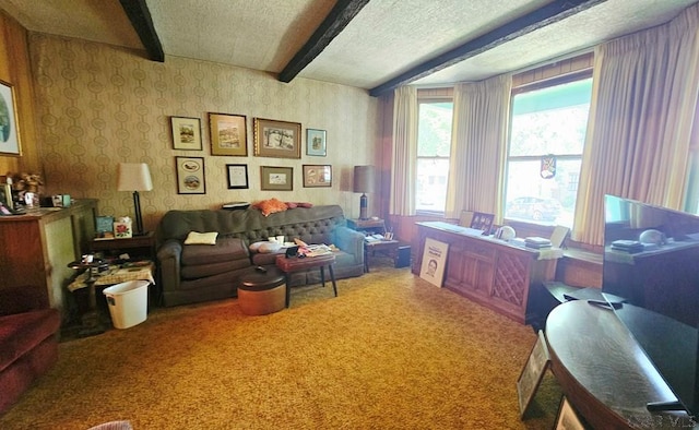 123 Venango St, Johnstown, PA 15905 - carpeted office with beam ceiling, wallpapered walls, and a textured ceiling