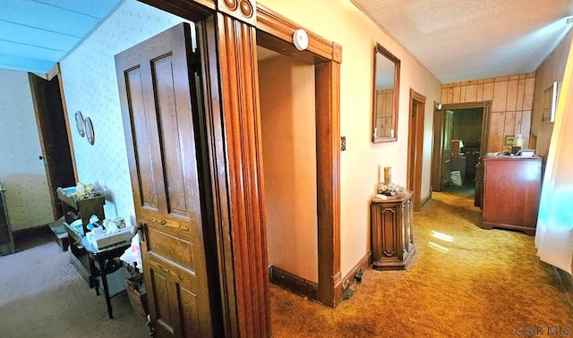 123 Venango St, Johnstown, PA 15905 - hallway with carpet and wallpapered walls