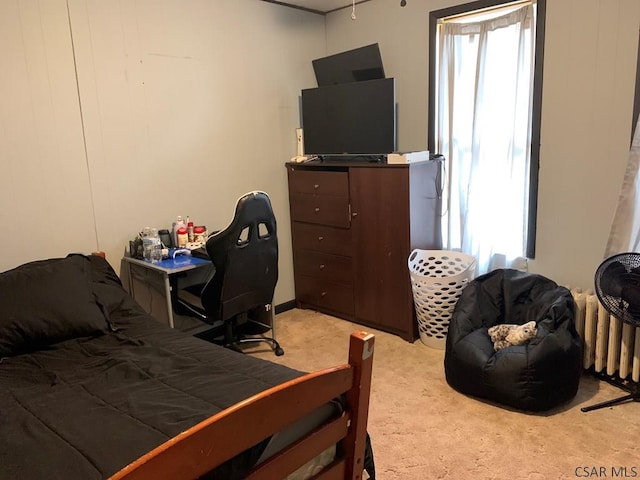 bedroom with radiator and carpet flooring