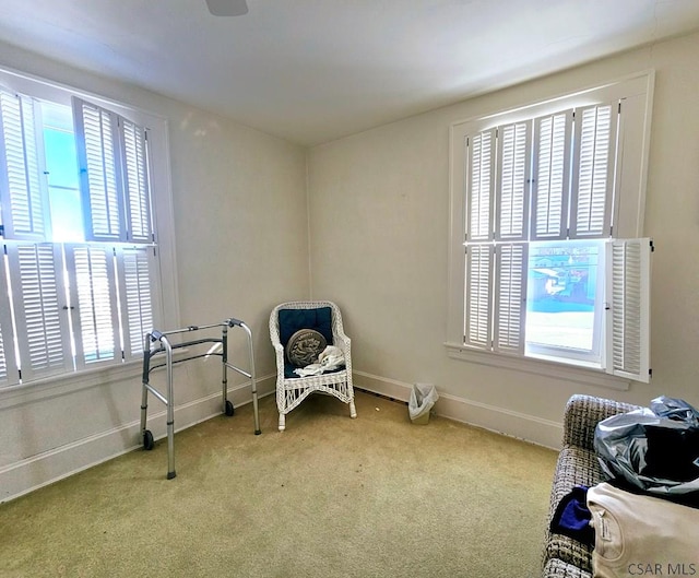 sitting room featuring light colored carpet