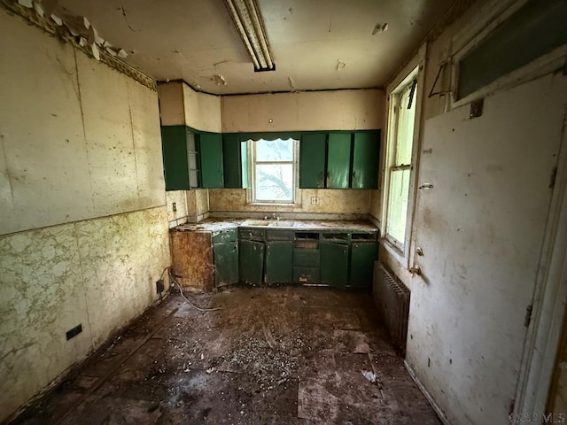 717-719 Messenger St, Johnstown, PA 15902 - kitchen with green cabinets and radiator
