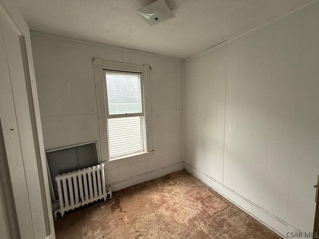 717-719 Messenger St, Johnstown, PA 15902 - spare room with radiator heating unit and light colored carpet