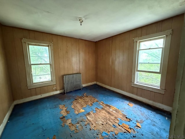 717-719 Messenger St, Johnstown, PA 15902 - empty room featuring radiator and healthy amount of natural light