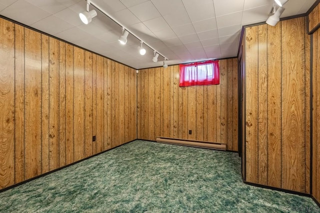 527 Patton St, Somerset, PA 15501 - basement featuring rail lighting, a baseboard heating unit, carpet, and wood walls