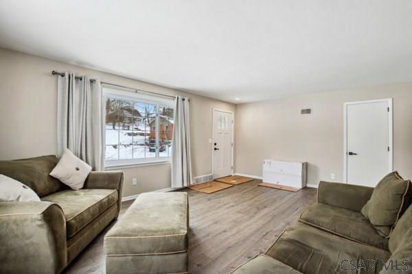 living room featuring light hardwood / wood-style flooring