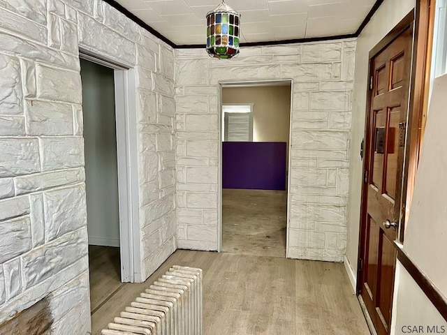 hallway with radiator, crown molding, and light hardwood / wood-style floors