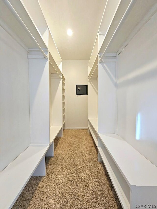 spacious closet with carpet floors