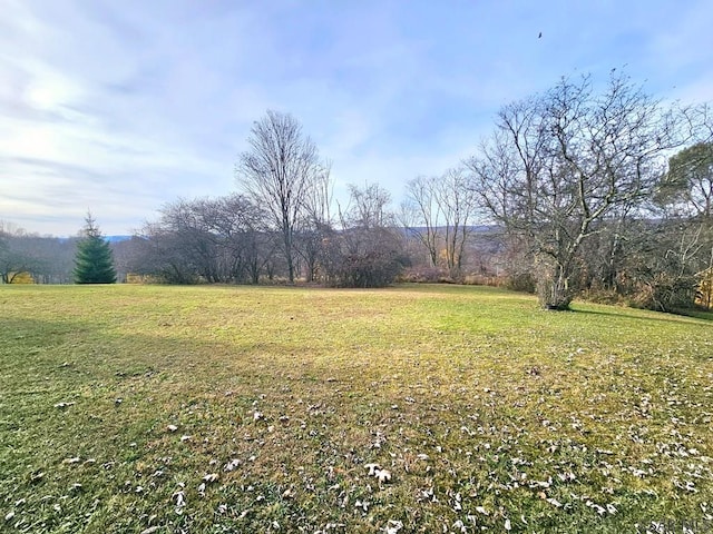 view of yard featuring a rural view