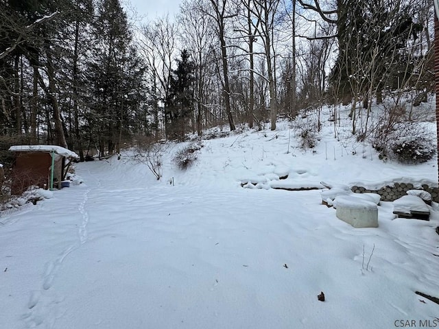 view of yard covered in snow