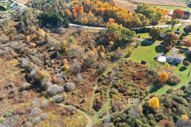 Crestview Dr, Davidsville, PA 15928