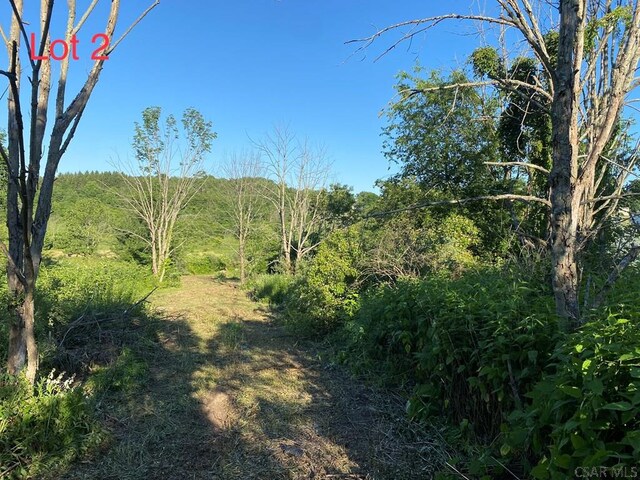 Crestview Dr, Davidsville, PA 15928