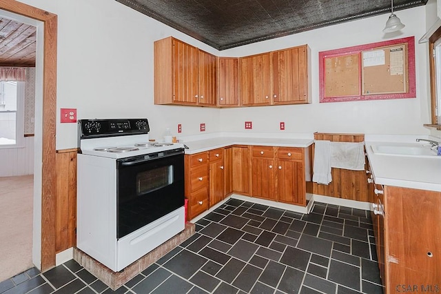 kitchen with sink, wooden walls, and electric stove