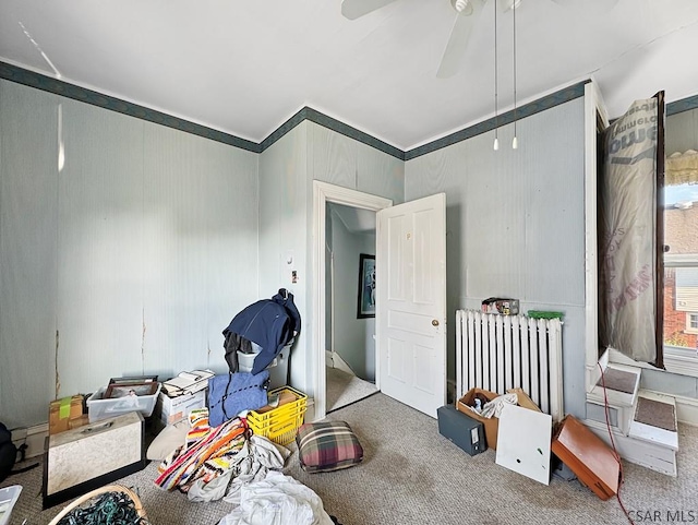 interior space featuring radiator, ceiling fan, and carpet