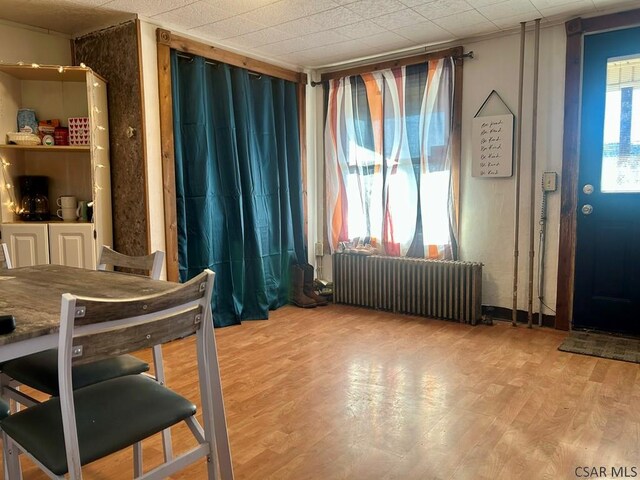 dining room with radiator heating unit and light hardwood / wood-style floors