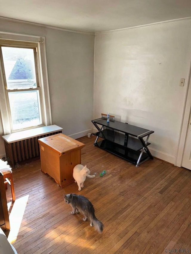 miscellaneous room featuring hardwood / wood-style flooring