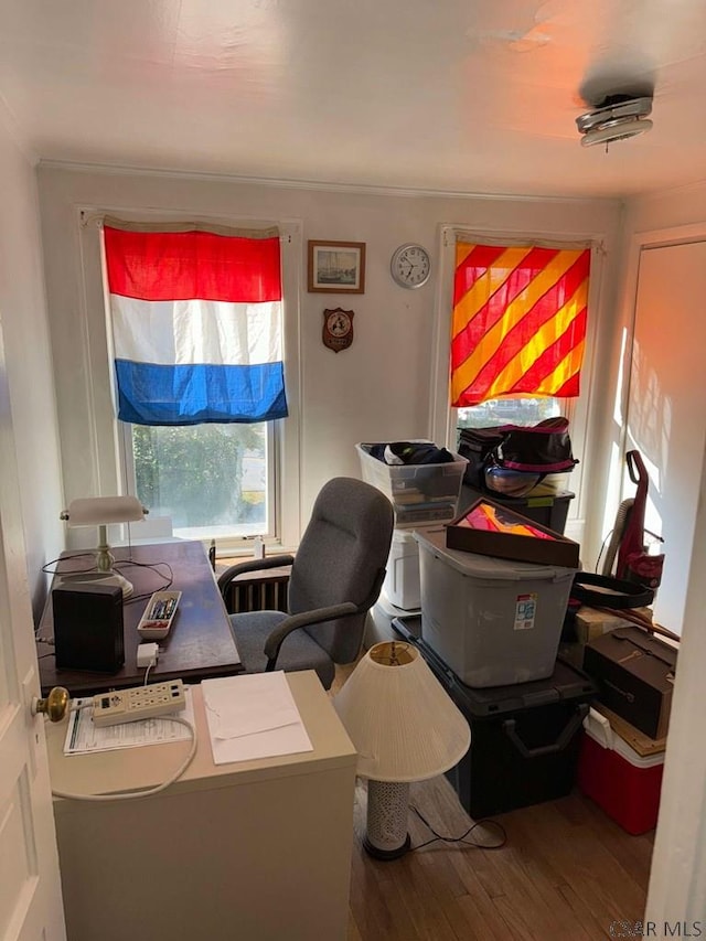 office area with wood-type flooring