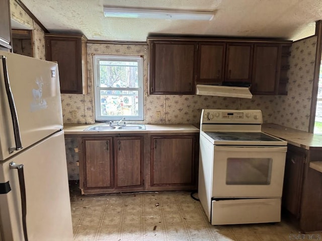 kitchen featuring white appliances, sink, and dark brown cabinets