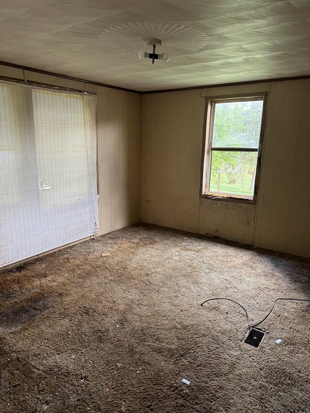 empty room featuring carpet flooring