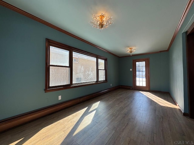 spare room with ornamental molding and dark hardwood / wood-style floors