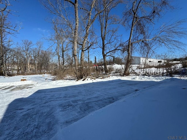 view of snowy yard