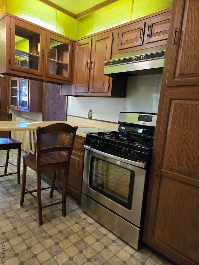 kitchen featuring stainless steel range with gas cooktop