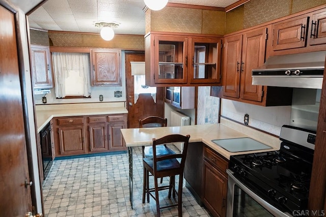 kitchen with radiator heating unit, dishwasher, gas stove, and exhaust hood